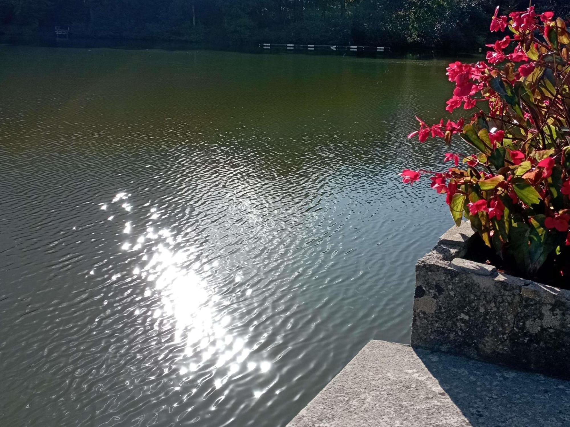 Ibis Les Etangs Des Moines Otel Fourmies Dış mekan fotoğraf